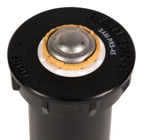 r-van18-on-1804-samp45-closeup_min(1)